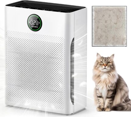 Air Purifier with Pet Mode