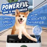 Air Purifier with Pet Mode