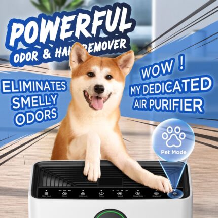 Air Purifier with Pet Mode