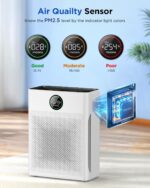 Air Purifier with Pet Mode
