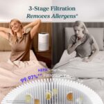 3-in-1 Compact HEPA Air Purifier
