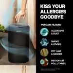 Large Room Coverage Air Purifier
