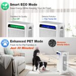 HEPA Air Purifier for 350 sq ft