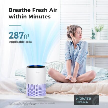 Quiet Air Purifier with Sleep Mode