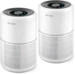 Air Purifier with Essential Oil Diffuser