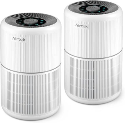 Air Purifier with Essential Oil Diffuser