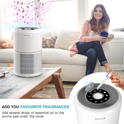 Air Purifier with Essential Oil Diffuser