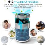 Air Purifier with Essential Oil Diffuser