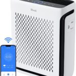 Compact Air Purifier with Display