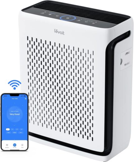 Compact Air Purifier with Display
