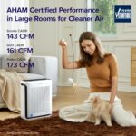 Compact Air Purifier with Display